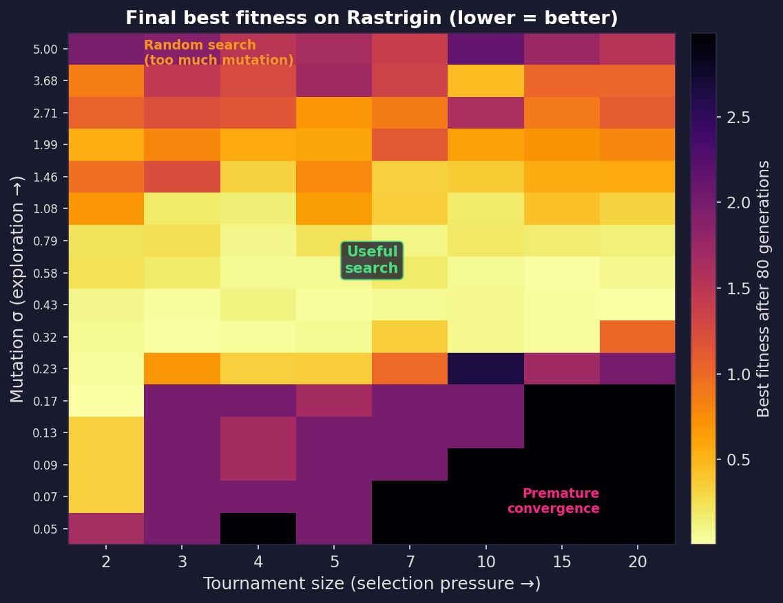 Phase diagram: selection pressure vs mutation strength